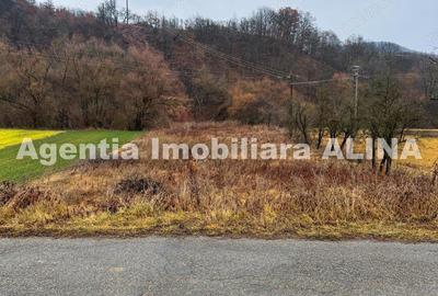 Teren extravilan 2.946 mp, situat in Satul Carjiti din Comuna Carjiti, Judetul Hunedoara. - 4