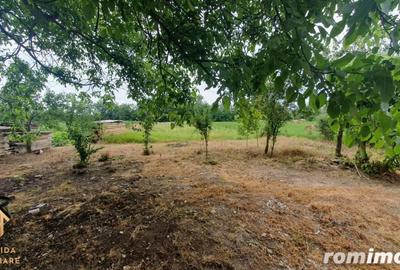 Casă cu 3 camere cu Teren 1876 Mp în Chizătău - 2