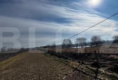 Teren în Vințu de Jos - 6