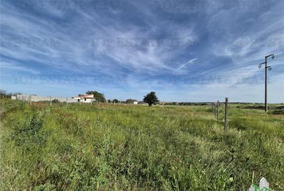 Teren de 400 mp, în Techirghiol - 4