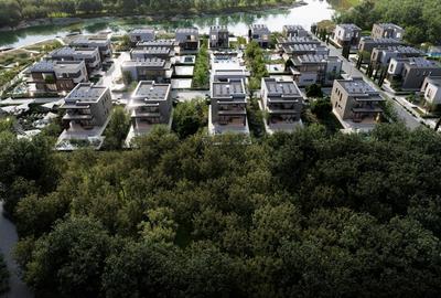 Teren Construcții intravilan de 23761 mp, în Siliștea Snagovului - 9