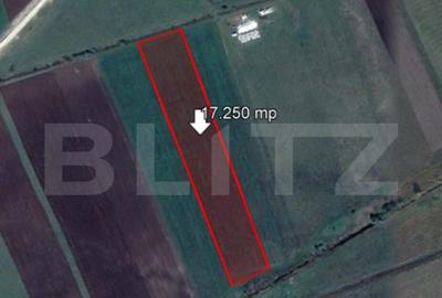 Teren de 17250 mp, Stupini - 2