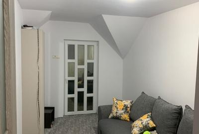 Cabana libera de Craciun ?i Revelion - 7