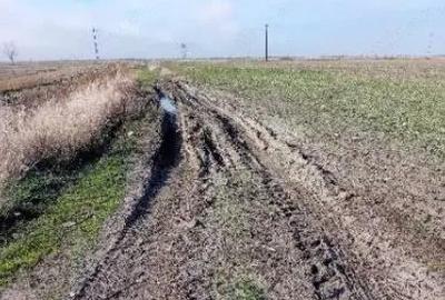 Teren extravilan-Loc. Buteni, jud. Arad - 2