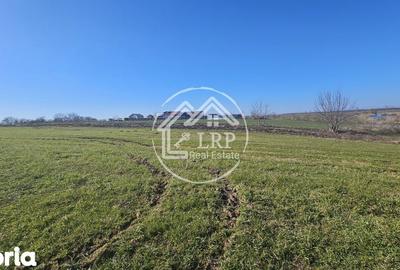 Teren de 646 mp, în Dascălu - 8