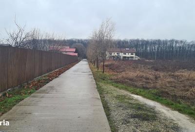 Spațiu comercial, în Corbeanca - 7