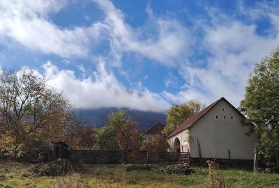Casă cu 2 camere cu Teren 10000 Mp în Nucșoara - 2