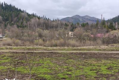 Teren de 22600 mp, în Sucevița - 13