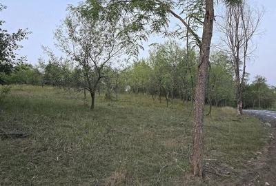 Teren de 7547 mp, în Ulieș - 4