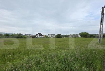 Teren intravilan, 48,3 ari zona Valea Rusului, - 3