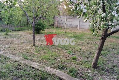 Casă cu 3 camere cu Teren 910 Mp în Dumbrăvița - 17