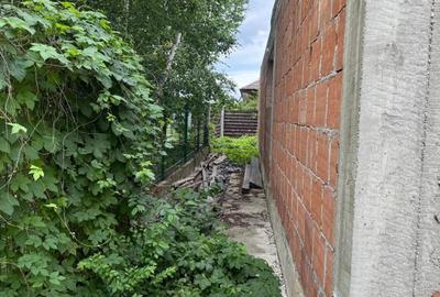 Casă cu 3 camere în Domnești - 4