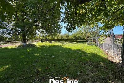 Proprietate spatioasa cu potential turistic in Bucovina Mica - Tatarusi, sat Uda Proprietate spatioasa cu potential turistic in Bucovina Mica - Tatarusi, sat Uda - 2