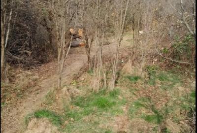 Vand teren intravilan - 1