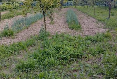 Vand casa sat Dragu, com Dragu, jud Salaj - 2