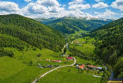 Teren de 5425 mp, în Județean - 7