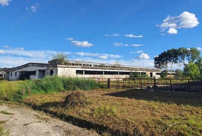 Spațiu comercial, de 1,800 mp, în Central - 4