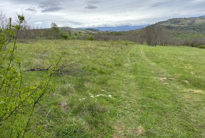 Vand teren zona Carasova! - 2