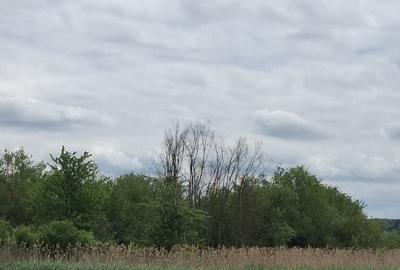 Casă cu 4 camere în Central - 6