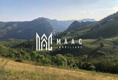 Teren agricol extravilan de 3174 mp, în Râmeț - 4