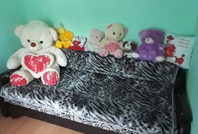 Casă cu Teren 1300 Mp în Gogoșari - 7