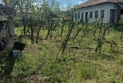 Vand teren ?i casa batraneasca Vand teren ?i casa batraneasca - 3