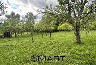 Teren intravilan 3102mp zona Racovita-Blanoiu - 4