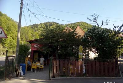 Casă cu 4 camere cu Teren 340 Mp în Castelul Peleș - 7