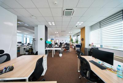 Birouri cu depozit de închiriat - 29