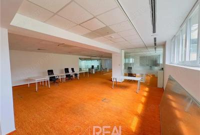 Spațiu comercial, de 441 mp, în Romană - 17