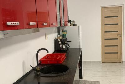 Cabana libera de Craciun ?i Revelion - 9