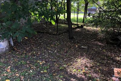 Casă cu 4 camere în Șicula - 1