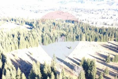 Teren agricol extravilan de 16289 mp, în Coverca - 3