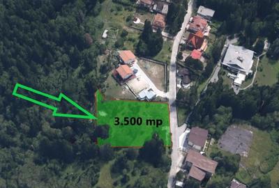 Teren intravilan 3.500 mp Cioplea - Predeal - 2