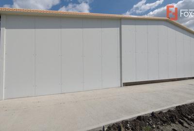 Spațiu industrial, de 35 mp, în Săcălaz - 12