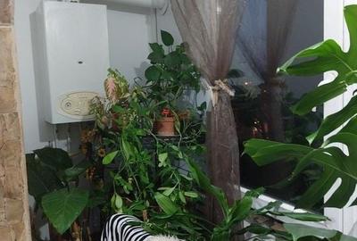 COMISION 0 | Apartament 3 Camere | Et. 2 | Izolat | Centrala | Sagului - 3