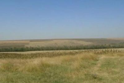 Teren de 6000 mp, în Vârlezi - 8