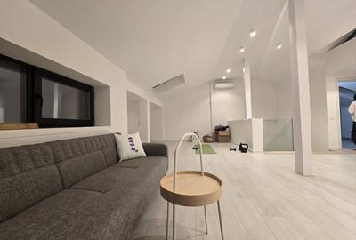 Inchiriere Vila Henri Coanda design deosebit - 16