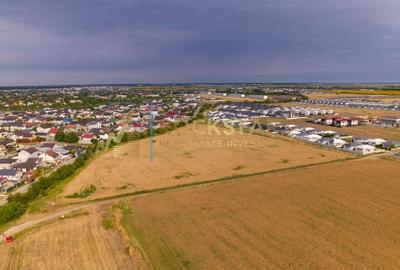 Teren | Tunari | 15000 mp - 21