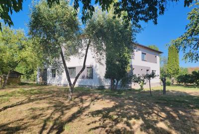 Duplex de vanzare, 180 mp utili, 1600mp curte, Dabaca - 2