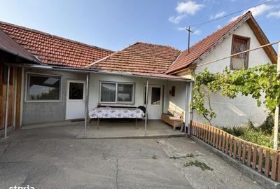 Casă cu 5 camere cu Teren 2700 Mp în Pianu - 9