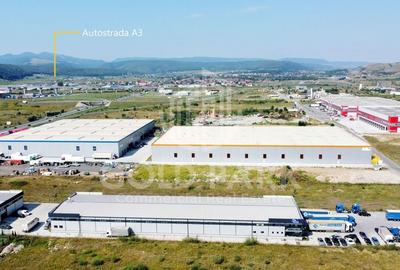 Spatiu Industrial -Zona Autostrazii A3 -10.000 mp Hala Depozitare - 6