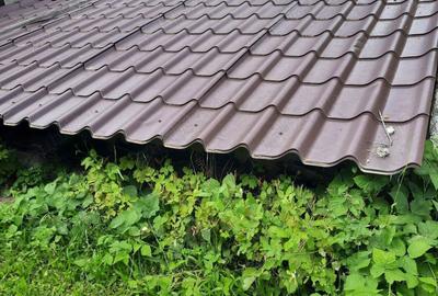 Casă cu 3 camere cu Teren 1100 Mp în Ciugud - 5