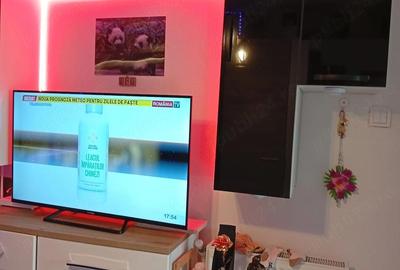 Garsonieră semidecomandată în Scornicești - 2