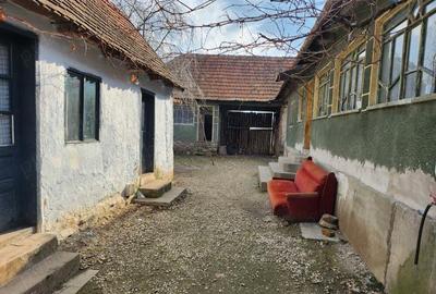 Vand casa Tau?, Arad - 2
