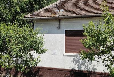 Casă cu 3 camere în Târnova - 7
