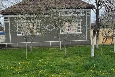 Casă cu 3 camere în Livada - 1