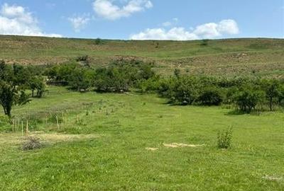 Casa cu teren 2741 MP la doar 6 km de Bod in Araci - 4