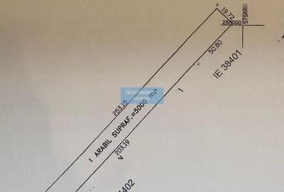 Teren agricol extravilan de 5000 mp, în Vest - 1