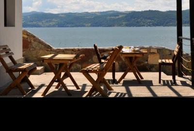 Pensiune + casă de oaspeți, Clisura Dunării, Șvinița - 16